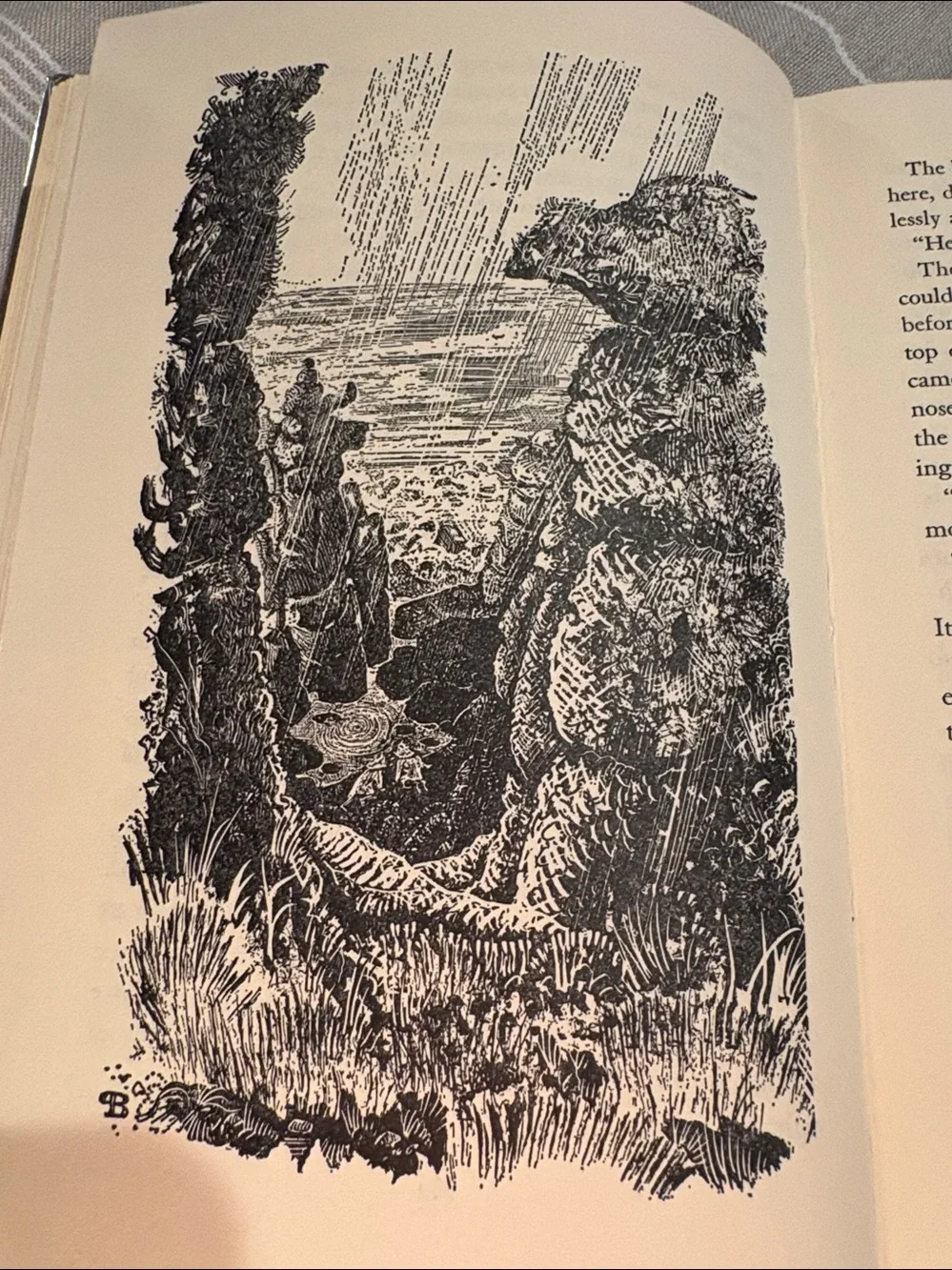Vintage 1967 The Sea Egg by L.M. Boston Hardcover First Edition *RARE* EUC